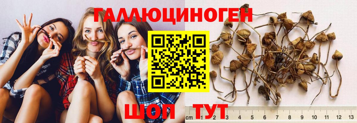 Барнаул  Псилоцибиновые грибы прущие грибы  Вход с VPN 