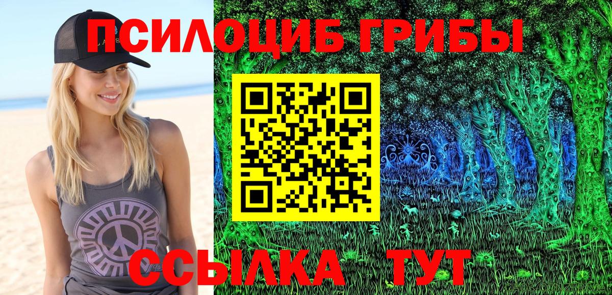 Псилоцибиновые грибы Cubensis Барнаул