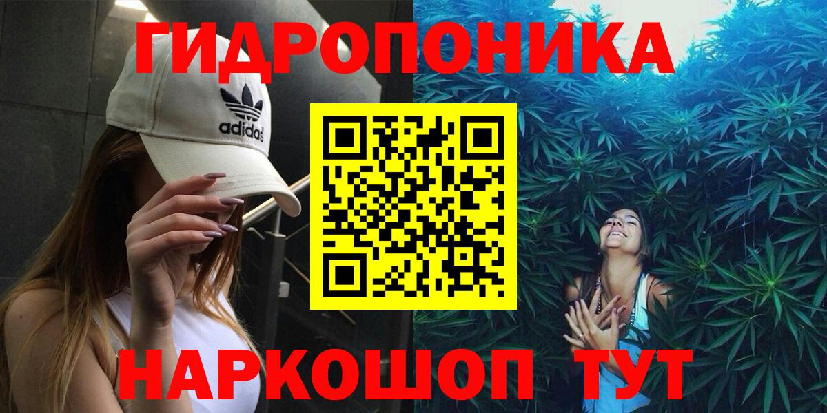Бошки Шишки Amnesia Барнаул